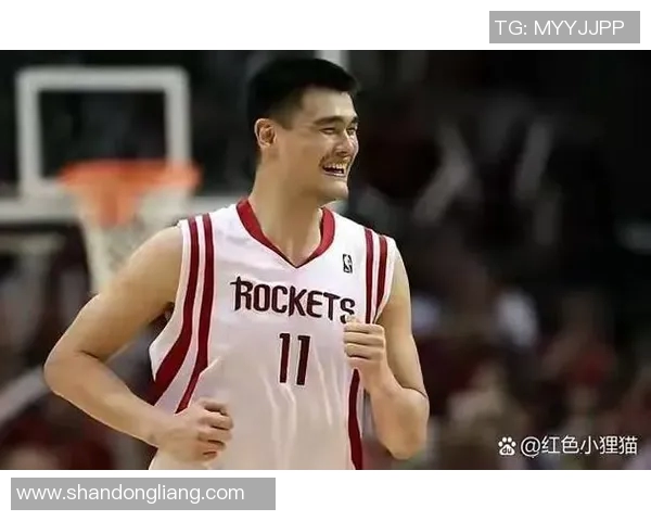 姚明得分日记：从篮球场上的传奇到人生的启示与反思