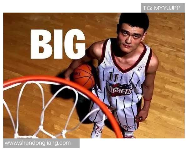 巅峰姚明传奇人生：从篮球场到人生巅峰的奋斗与荣耀